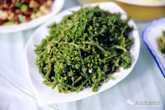 金鸡山庄：传统古韵与现代风情交融的艺术殿堂